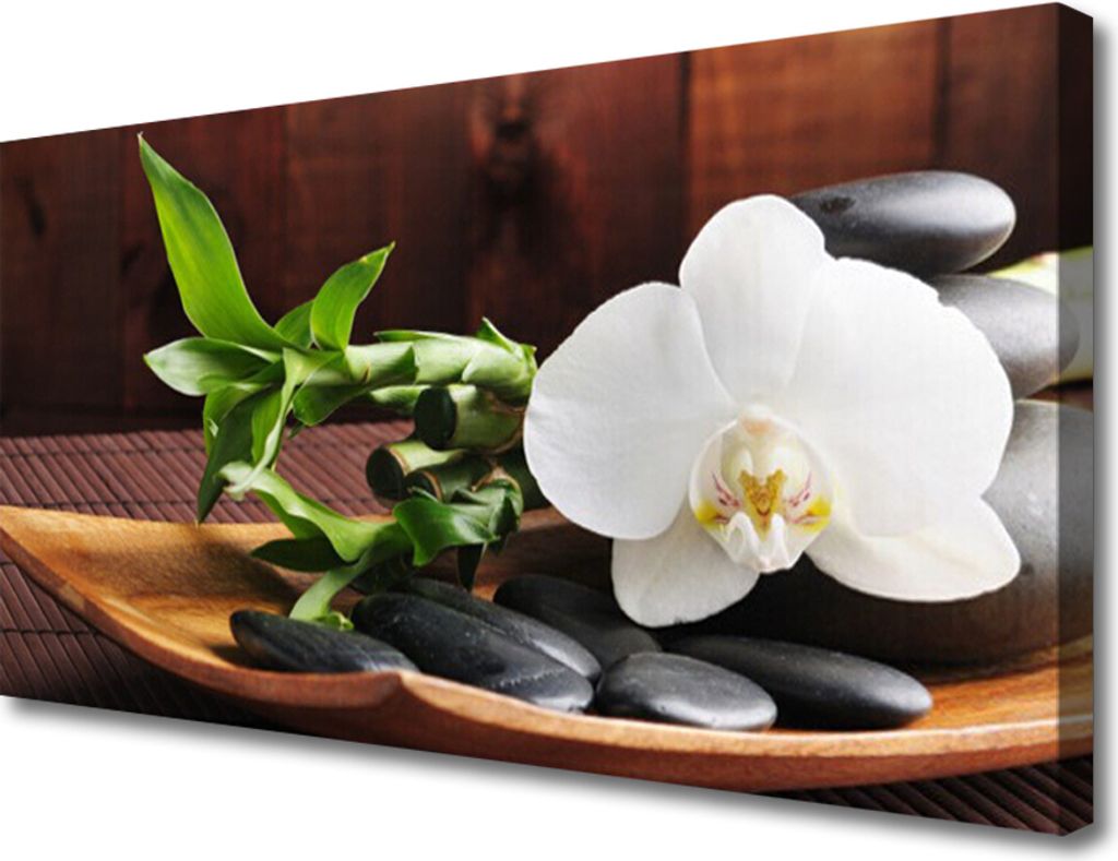 Tulup Leinwand-Bilder 100x50 Wandbild Canvas Kunstdruck Blume Bambusrohr Steine Kunst