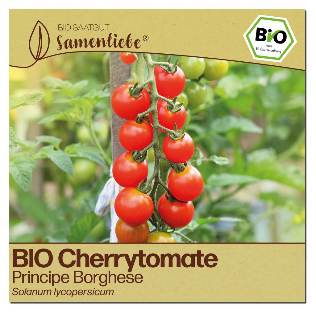 Samenliebe  Tomate Samen | Principe Borghese - rot & Produktbild 