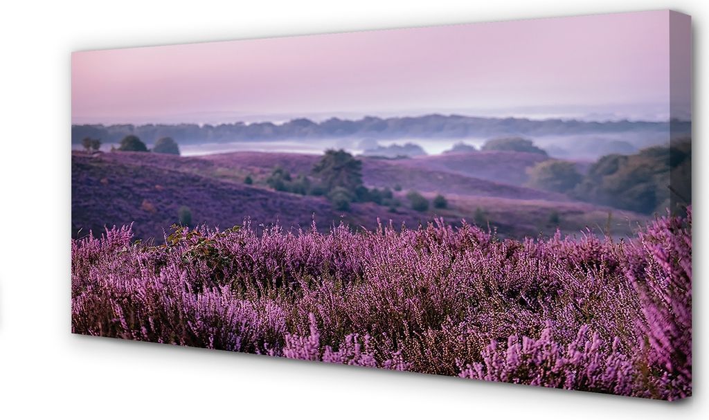 Leinwandbild 140x70 Wandkunst Feld heathers