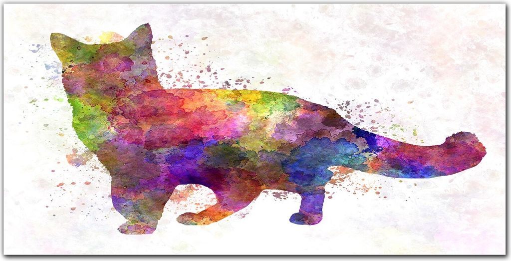 Coloray Küchenrückwand 120x60 Spritzschutz aus Glas - Haustier Katze
