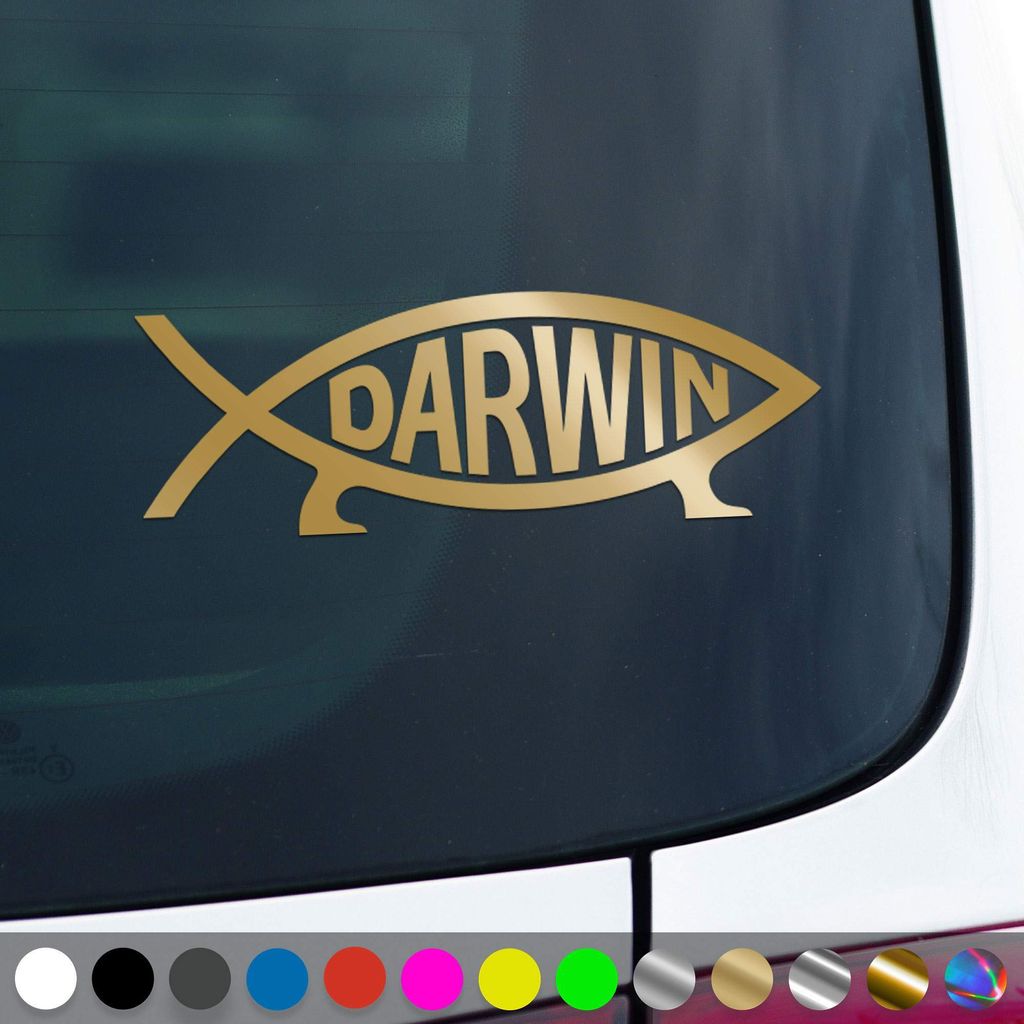 PantherPixel Darwin Fisch Aufkleber Evolution Ichthys Atheist Sticker Auto Geschenkidee Farbe Gold