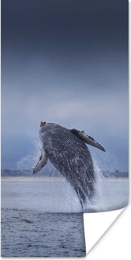 MuchoWow Poster Großaufnahme eines springenden Wals 80x160 cm - Kinderzimmer