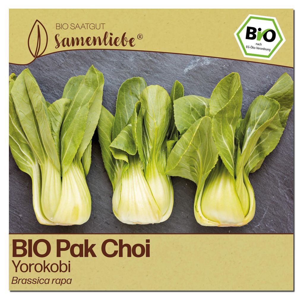 Samenliebe Pak Choi Samen | Yorokobi - samenfestes Saatgut