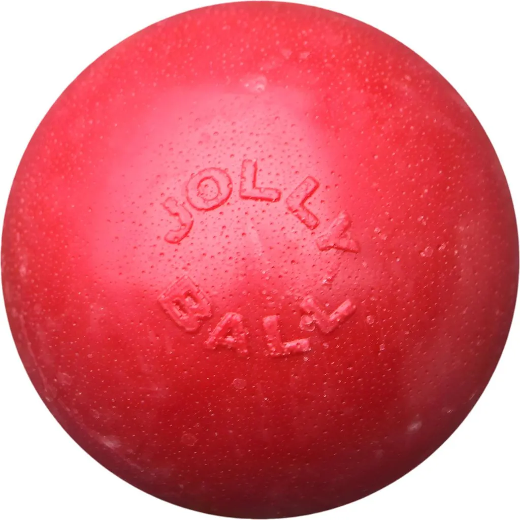 Ballon pour Chien Jolly Ball 20cm - Jouet de Récupération Ultra Robuste