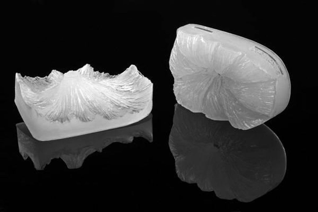Silikomart Aderblatt Foglia 105x65mm doppelseitige Maserung für Marzipan Fondant Blüten