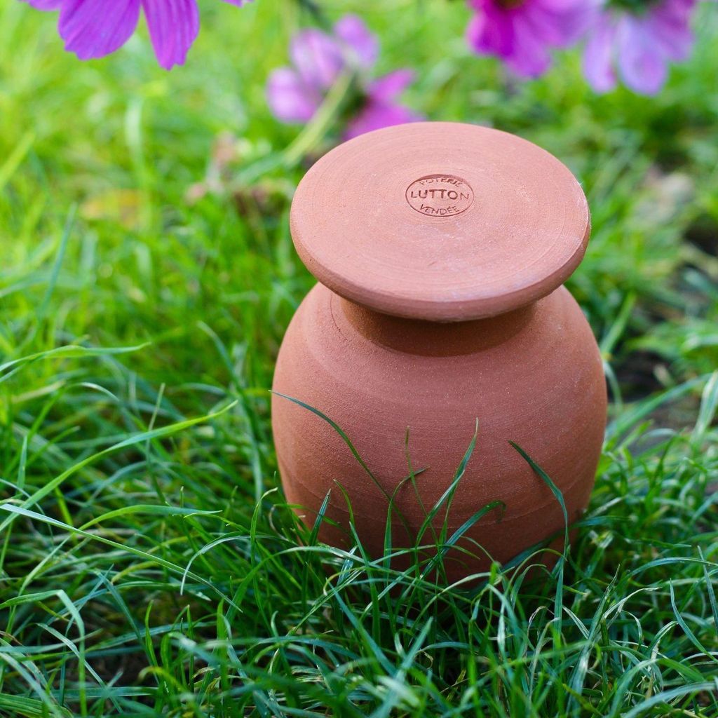 Olla Gartentopf XS 0,5L zum Eingraben – natürliche automatische Bewässerung für Kräuter & Salat