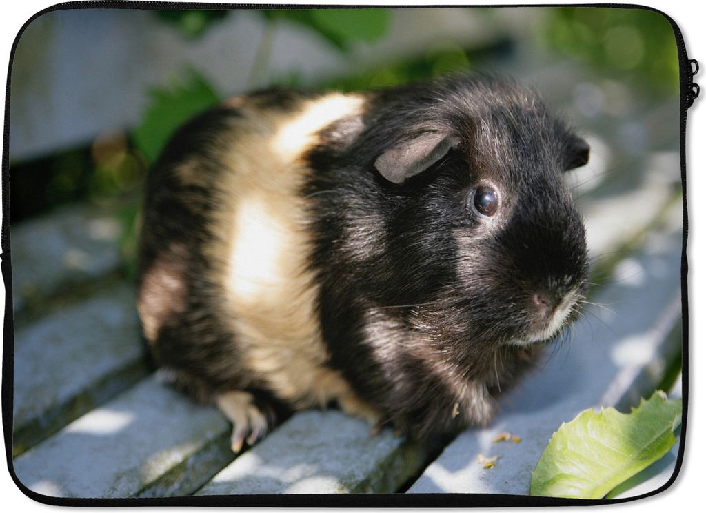 MuchoWow Laptop Hülle 14 ZollMeerschweinchen im Garten Laptoptasche - Laptoptasche - Stoßsicher - Schutzhaube