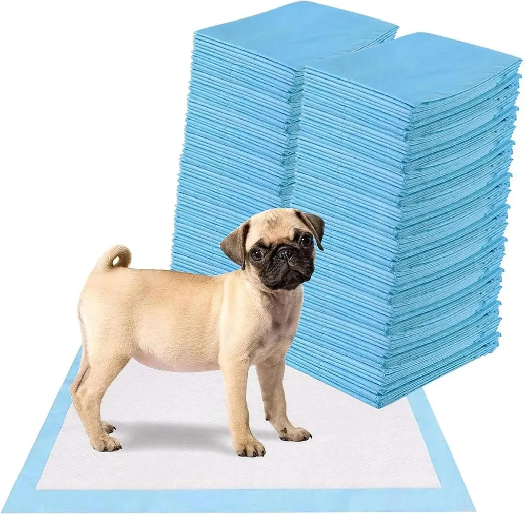 Toilettes chiens pour appartement : Bac à litière intérieur bleu zen