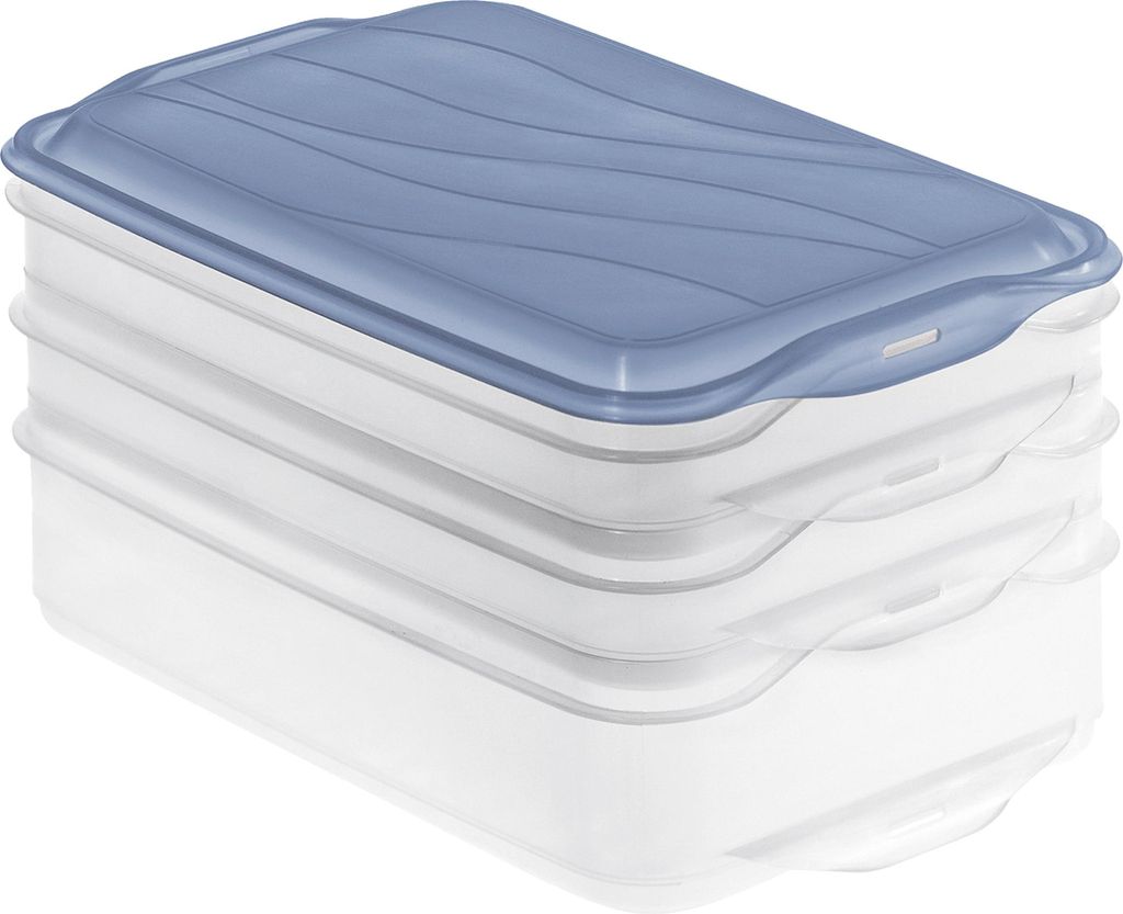 ROTHO Aufschnittbox Foodcenter horizon blue 2x0,75 l + 1x1,35 l | Stapelbare Frischhaltedosen für Kühlschrank | Lebensmittel frisch & aromagetren...