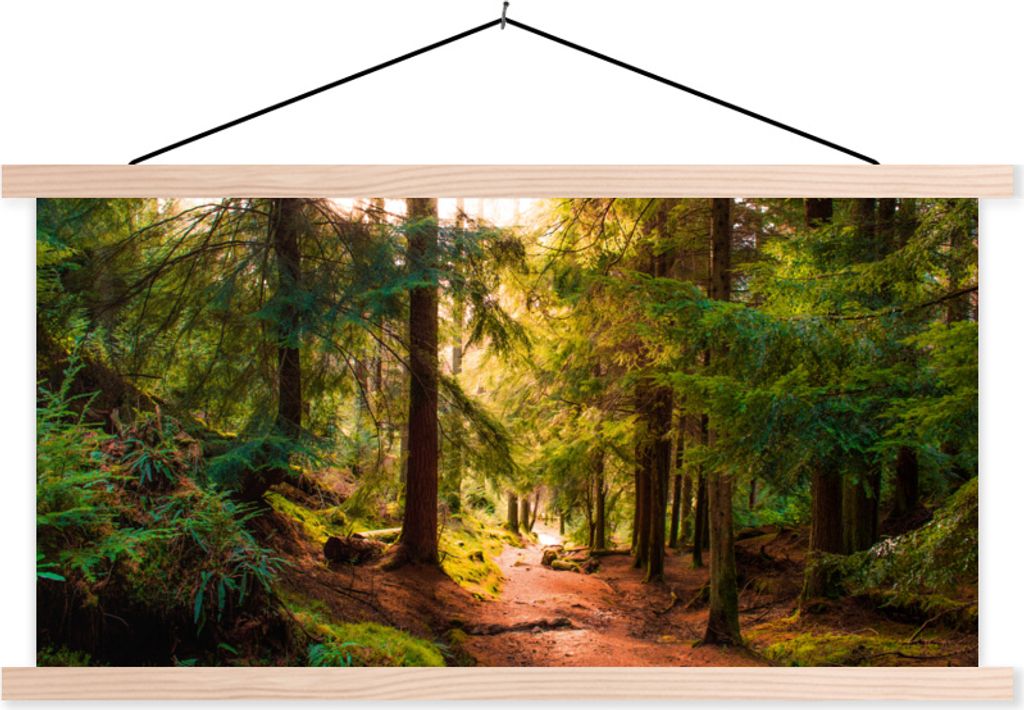 MuchoWow Textilposter Wald - Weg - Bäume - Grün - Sonne - Natur 60x30 cm mit holzfarbenen Rahmen - Dekoration