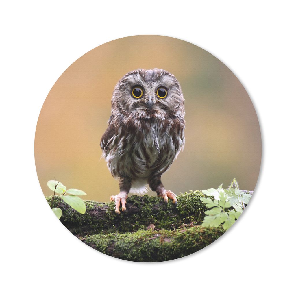 MuchoWow Mauspad Mousepad Steinkauz 50x50 cm - Mousepads - Maus Mat - Pad - Mausunterlage - Vinyl