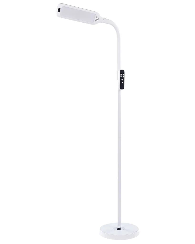 Lampadaire LED Dimmable 160 cm avec Télécommande et Éclairage Variable - 7