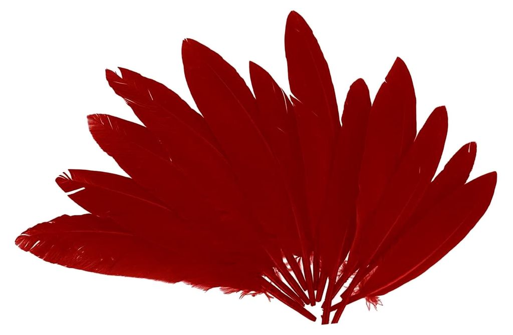Indische Federn rot ca. 25 x 140 m, 60U