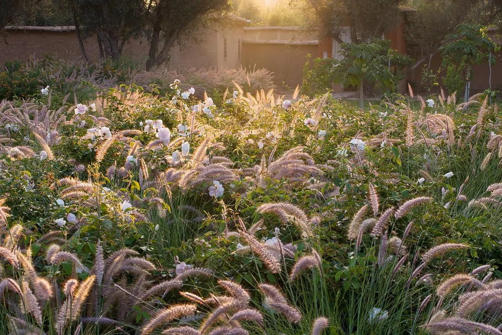 Aménagement Jardin Méditerranéen : Guide de Design et Styles Extérieurs - 2