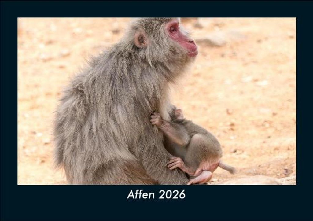 Affen 2026 Fotokalender DIN A5
