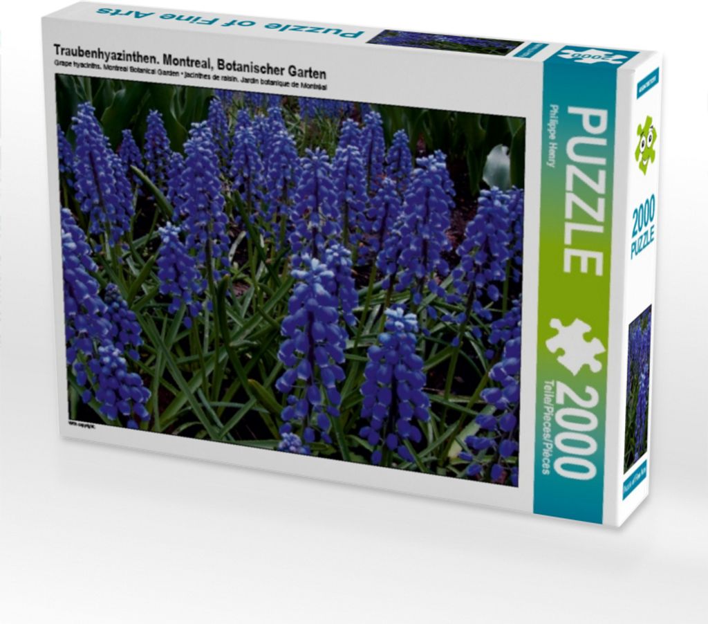 CALVENDO Puzzle Traubenhyazinthen. Montreal, Botanischer Produktbild 