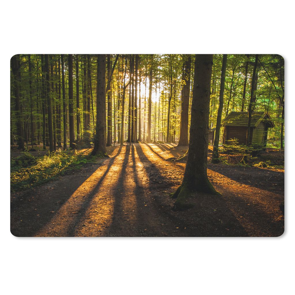 MuchoWow Schreibtischunterlage Sonne - Bäume - Wald - Landschaft - Natur 60x40 cm - XXL Mauspad - Großes Mauspad