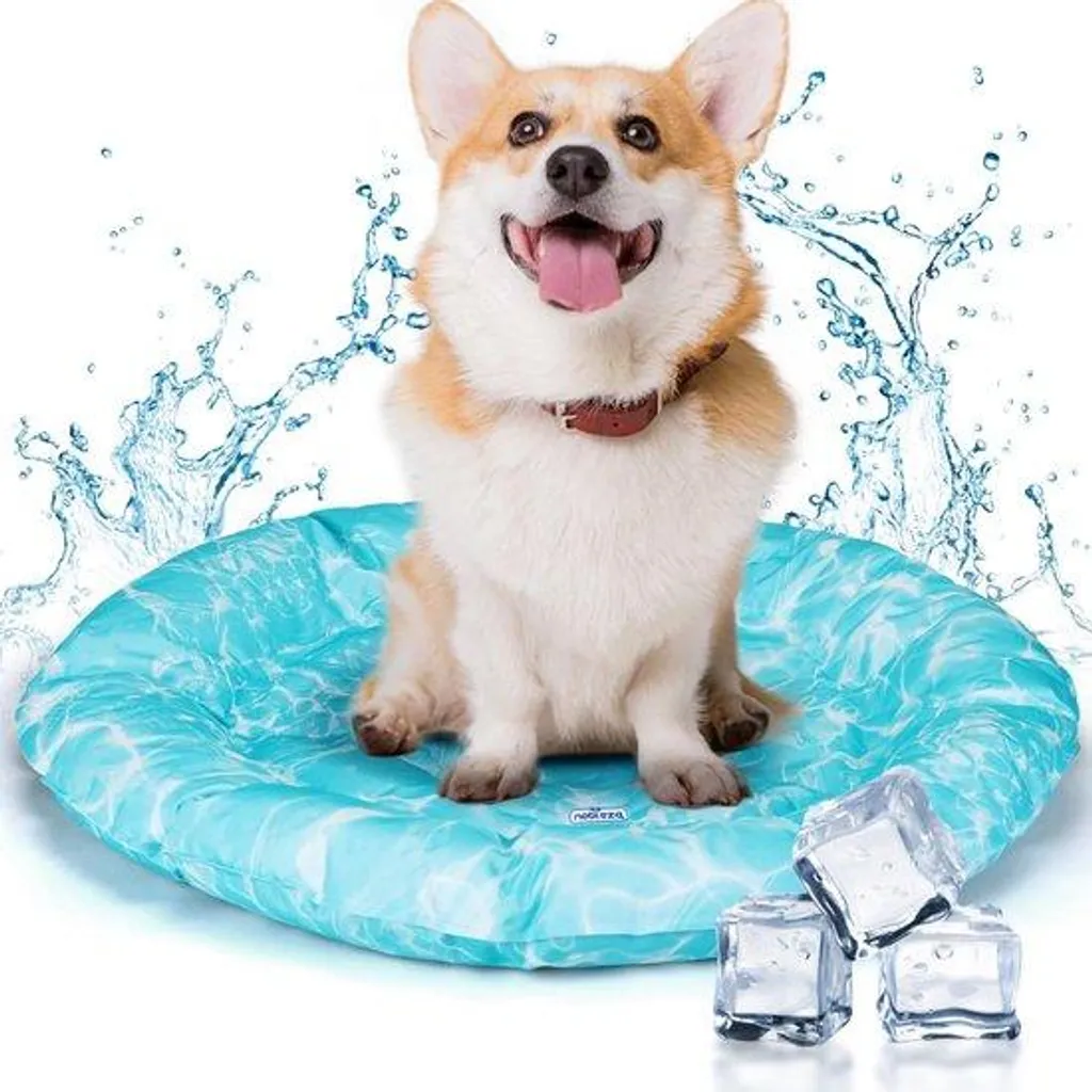 Réfrigérateur pour chien et chat - Fraîcheur garantie durant l'été