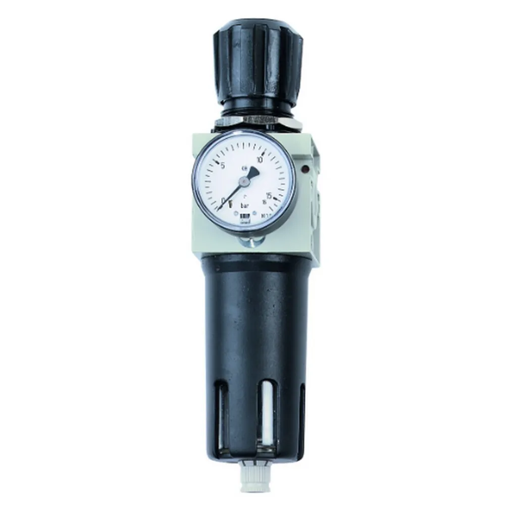 Réducteur de Pression Schneider 0-12 Bar avec Filtre Intégré