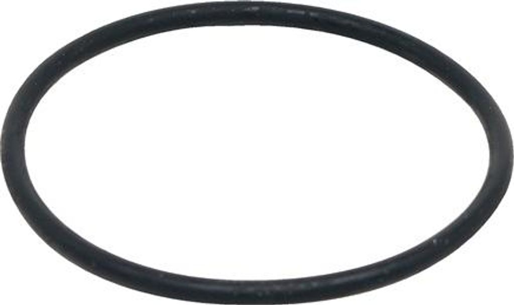 Fluval Dichtungsring für den Motor für Fluval FX5