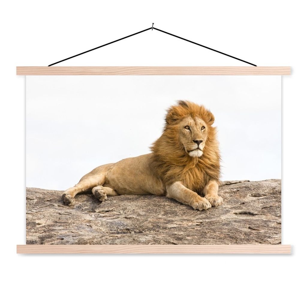 MuchoWow Textilposter Löwe - Mähne - Tier 60x40 cm mit holzfarbenen Rahmen - Bilder