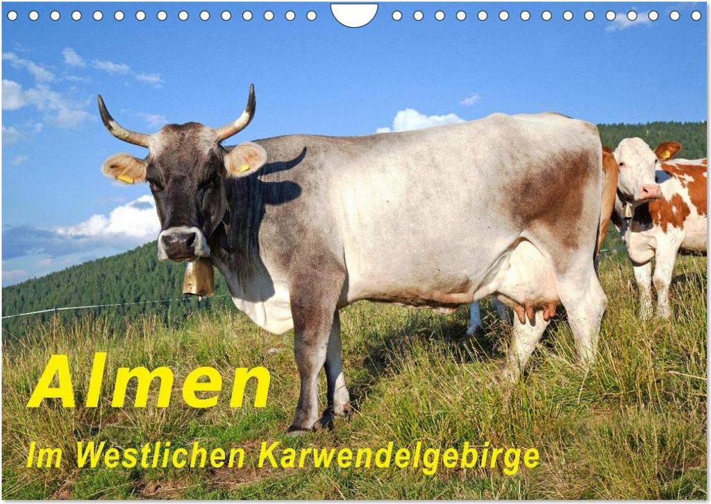 Almen im Westlichen Karwendelgebirge (Wandkalender 2027 DIN A4 quer), CALVENDO Monatskalender