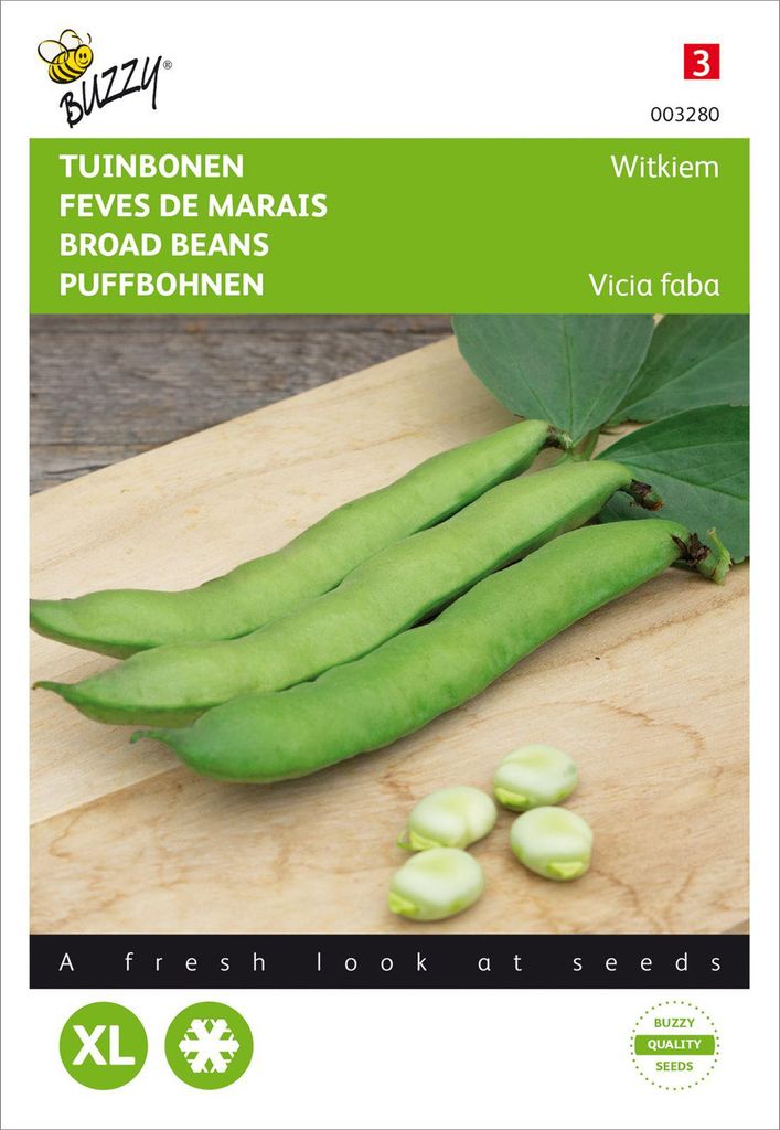 Puffbohnen : Variété "Frühe Wießkeimige" | Graines de Image du produit 