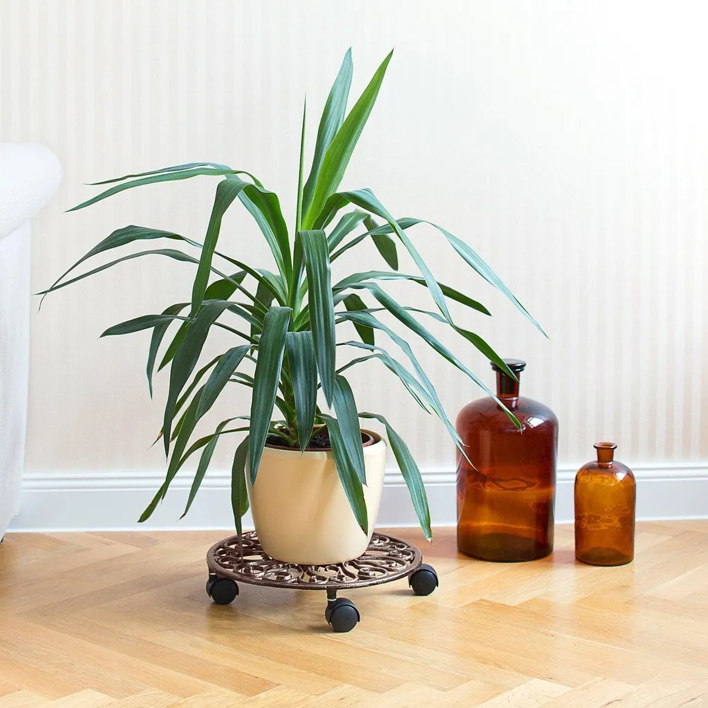 Socle de plante à roues en fonte - Support mobile résistant charge lourde