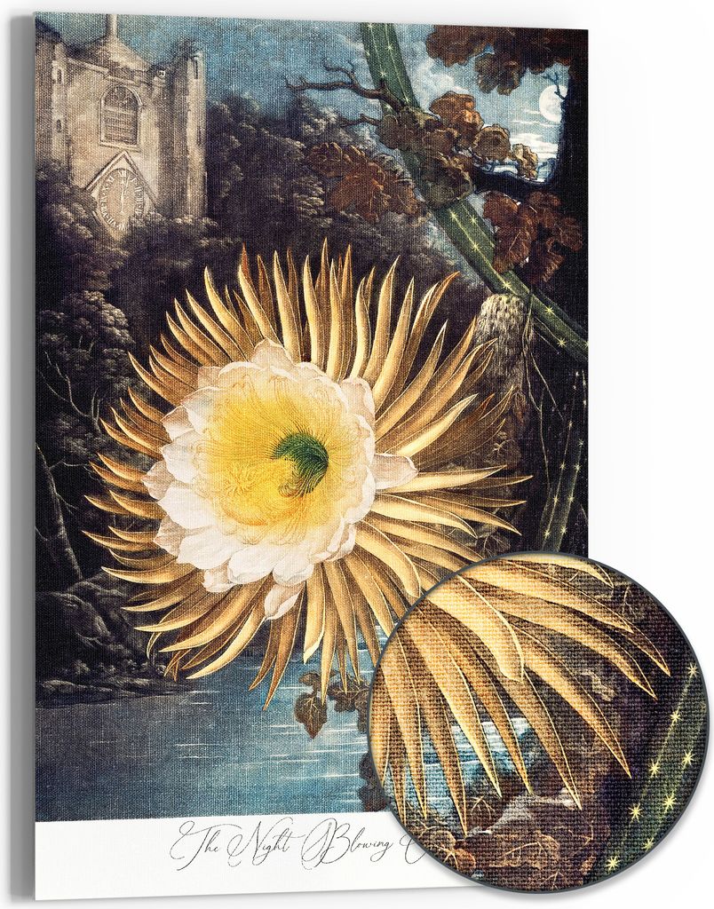 DEQOART Hybrid Leinwand Bild 60x90 cm 'Die Königin der Nacht' Wandbild Glas flach modern