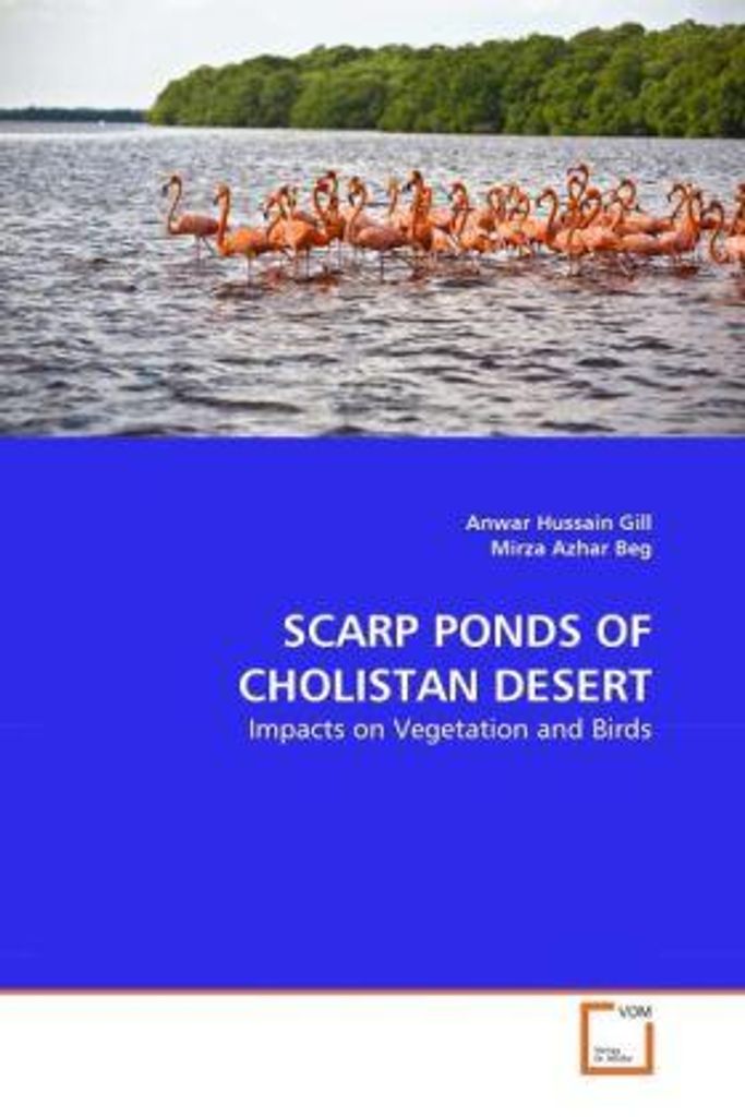 Scarp Ponds Of Cholistan Desert