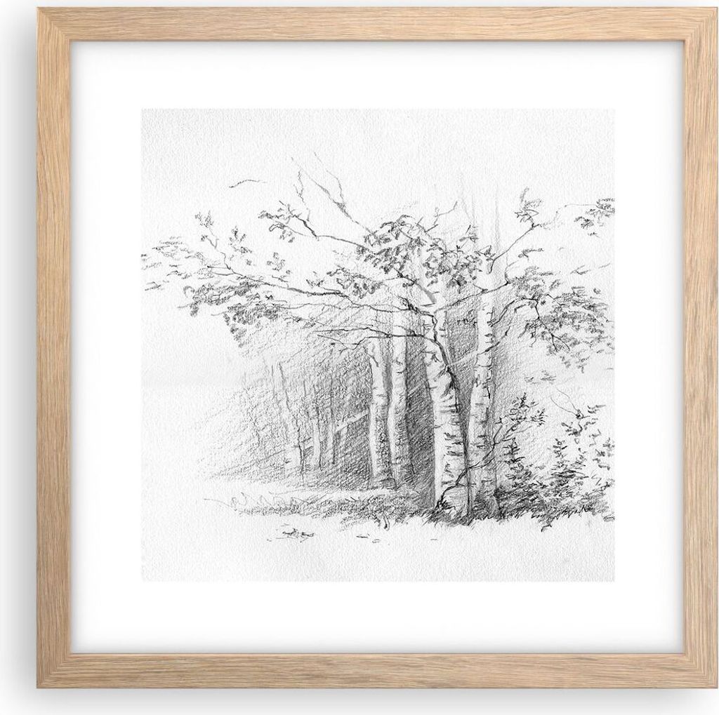 Gerahmtes Poster - Rahmen in heller Eiche - Skizze Wald Birke - 30x30 cm - Wand Bild - Wanddeko - Wandbilder - Wandposter - Bilderrahmen - Bilder -...