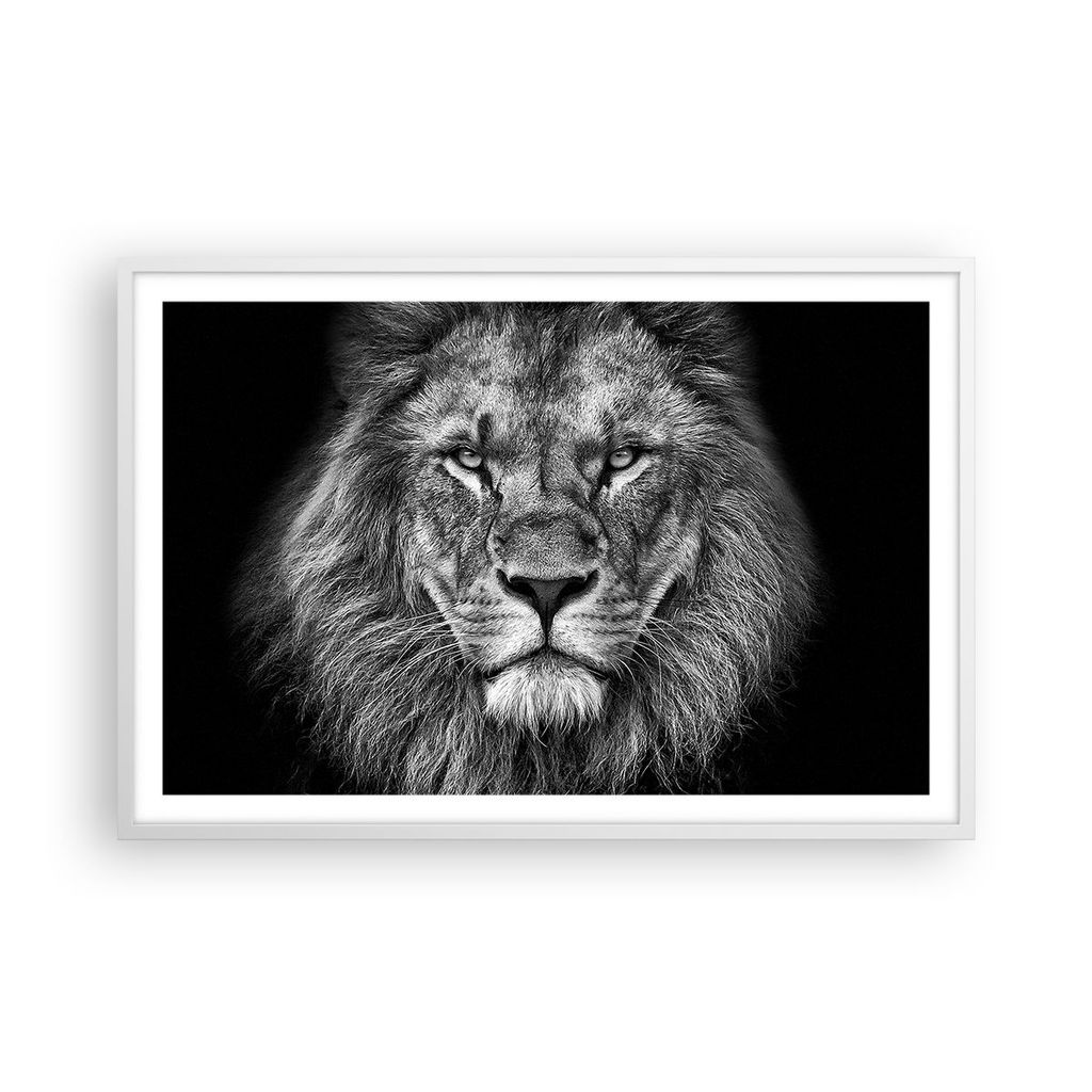 Gerahmtes Poster - Weißer Rahmen - Porträt Löwe Schwarzweiß - 91,5x61 cm - Wand Bild - Wanddeko - Wandbilder - Kunstposter - Wandposter - Bilde...