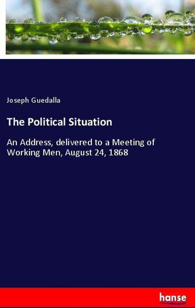 The Political Situation