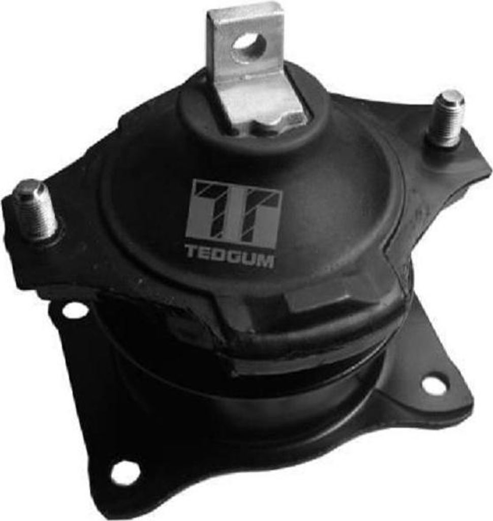 TEDGUM Halter Motoraufhängung Motorhalter 00260933 Vorne für HONDA Accord VII Limousine (CL, CN) 1,564kg