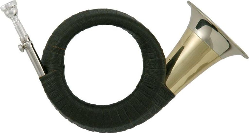 Roy Benson HH-101 Plesshorn in B KL/KuLe