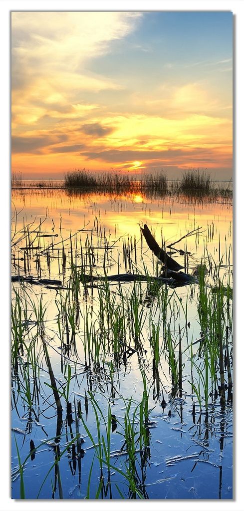 Wallario selbstklebende Türtapete 93 x 205 cm - Schilf am Abend - Sonnenuntergang über der Seelandschaft - Abwischbar, rückstandsfrei zu entfernen
