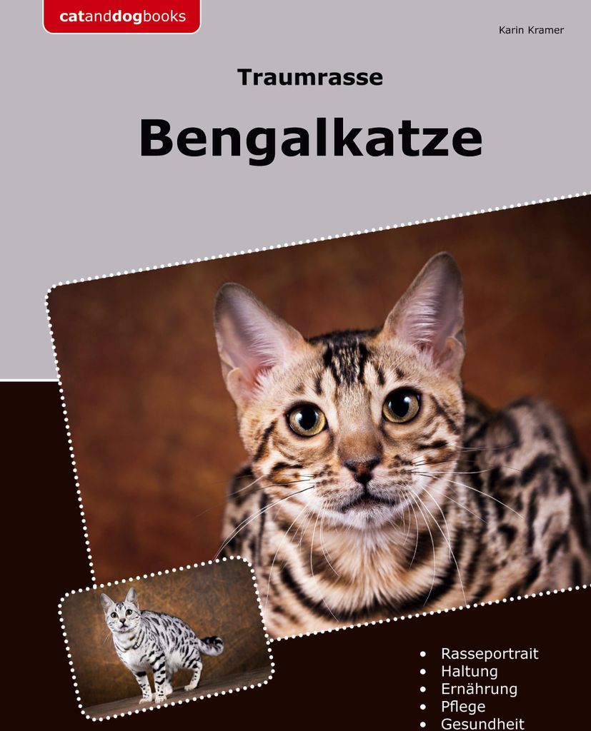 Traumrasse Bengalkatze