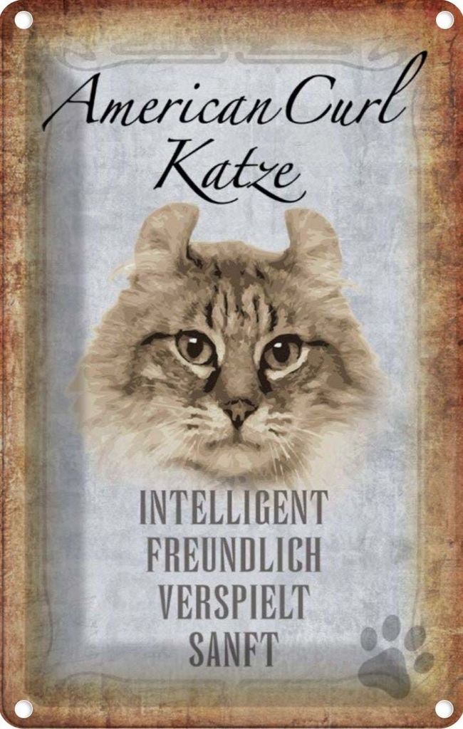 vianmo Blechschild 30x20 cm American Curl Katze Tier Haustier