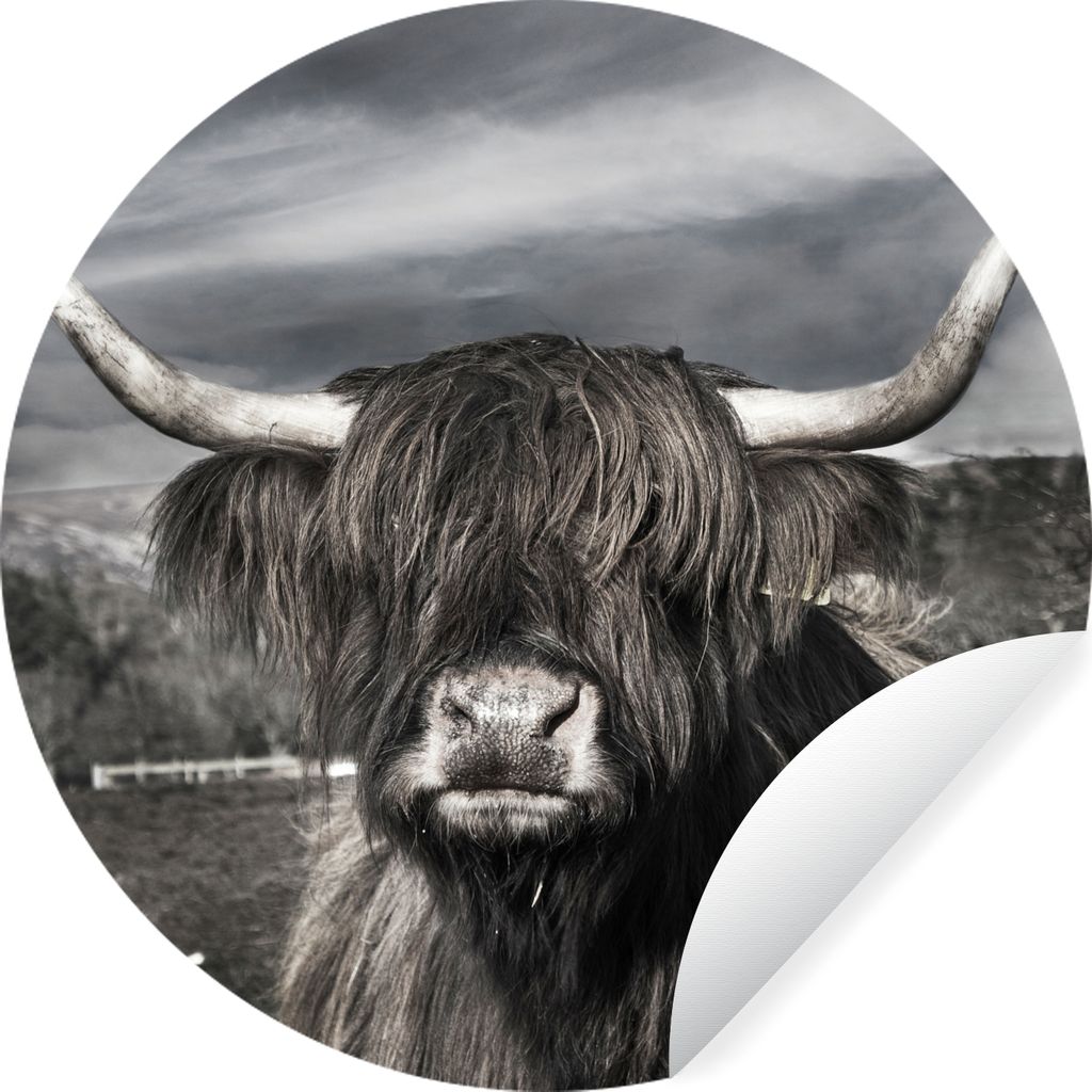 MuchoWow Runde Wandtattoo - Wandsticker Tapete Aufkleber Schottischer Highlander - Tiere - Hörner Ø 30 cm Selbstklebend und Repositionierbar - ...