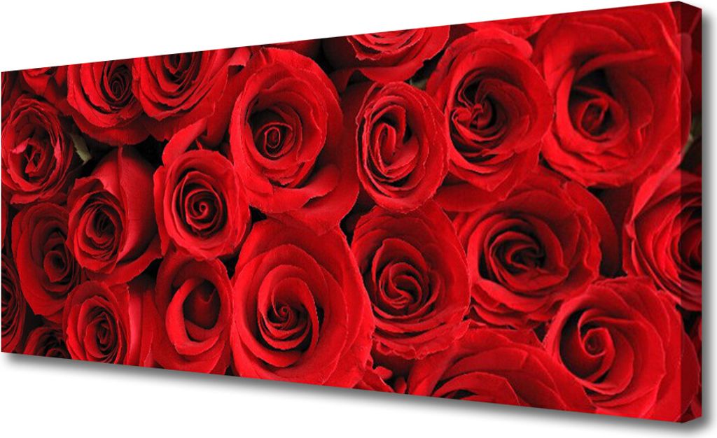 Tulup Leinwand-Bilder 125x50 Wandbild Canvas Kunstdruck Roses Pflanzen