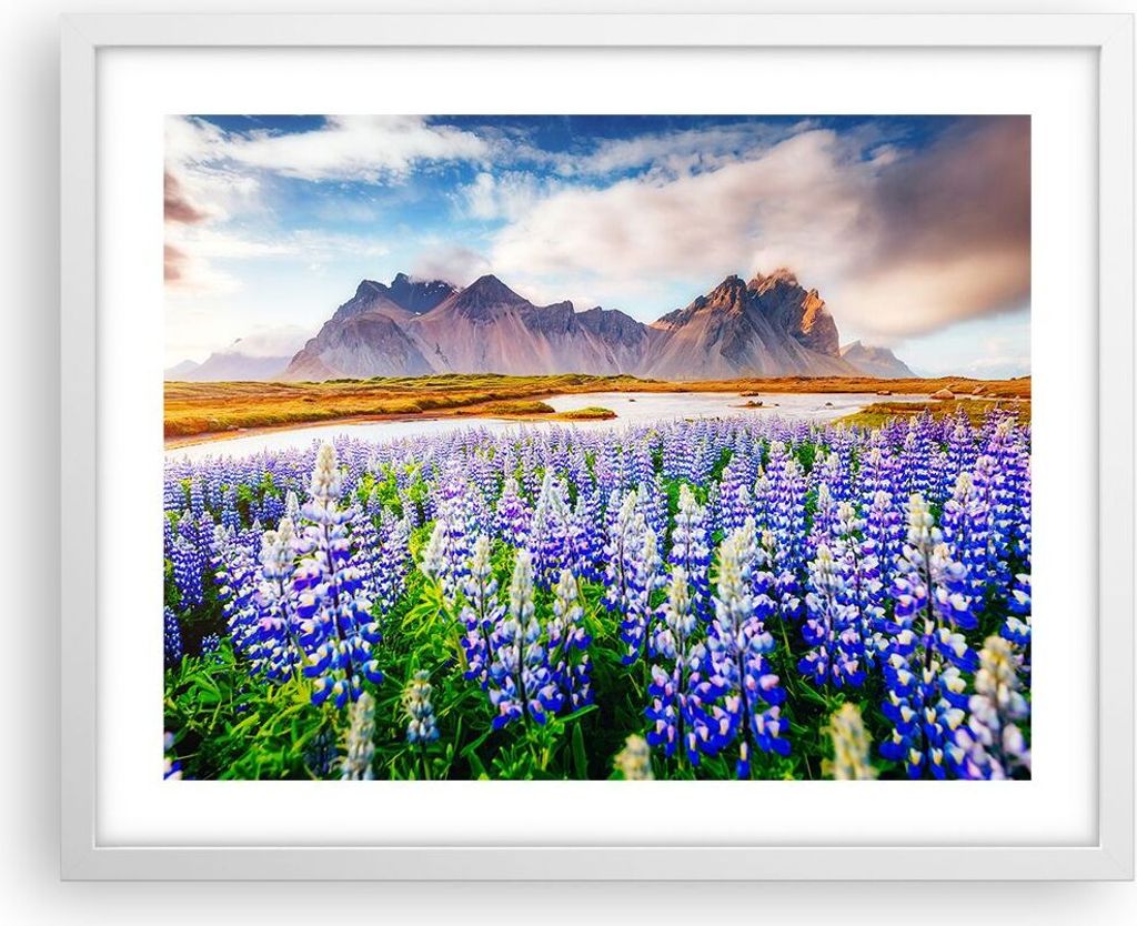 Gerahmtes Poster - Weißer Rahmen - Berge Wiese Blumen - 50x40 cm - Wand Bild - Wanddeko - Wandbilder - Kunstposter - Wandposter - Bilderrahmen - B...