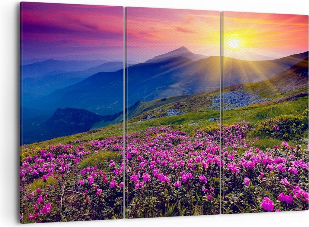 Bild auf Leinwand - Leinwandbild - Wiese Berge Landschaft - 105x70cm - Wand Bild - Wanddeko - Leinwanddruck - Bilder - Kunstdruck - Wanddekoration ...