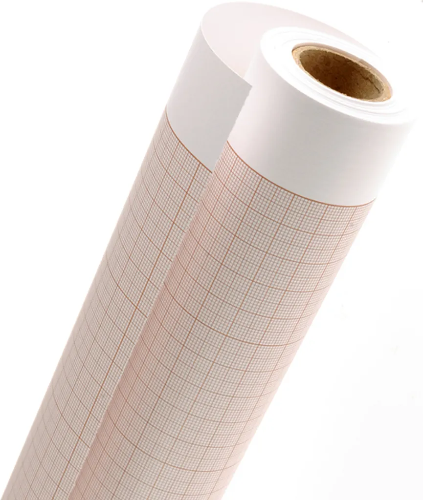 Canson C200065101 Papier Millimétré en Rouleau 750 mm x 10 m 90g