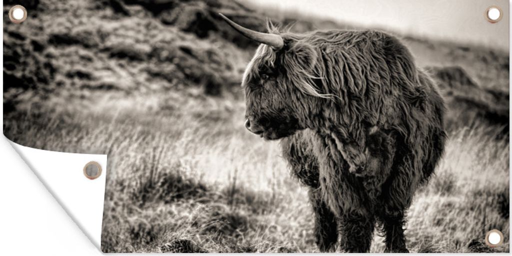 MuchoWow 160x80 cm Outdoor-Poster Gartendeko Sichtschutz Garten Poster für den Garten Scottish Highlander - Kühe - Schwarz - Weiß