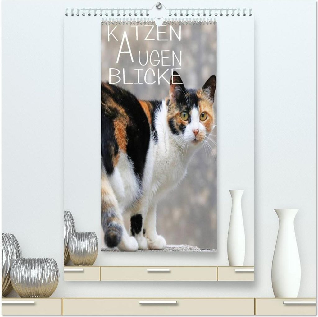 KATZEN AUGEN BLICKE (hochwertiger Premium Wandkalender 2026 DIN A2 hoch), Kunstdruck in Hochglanz