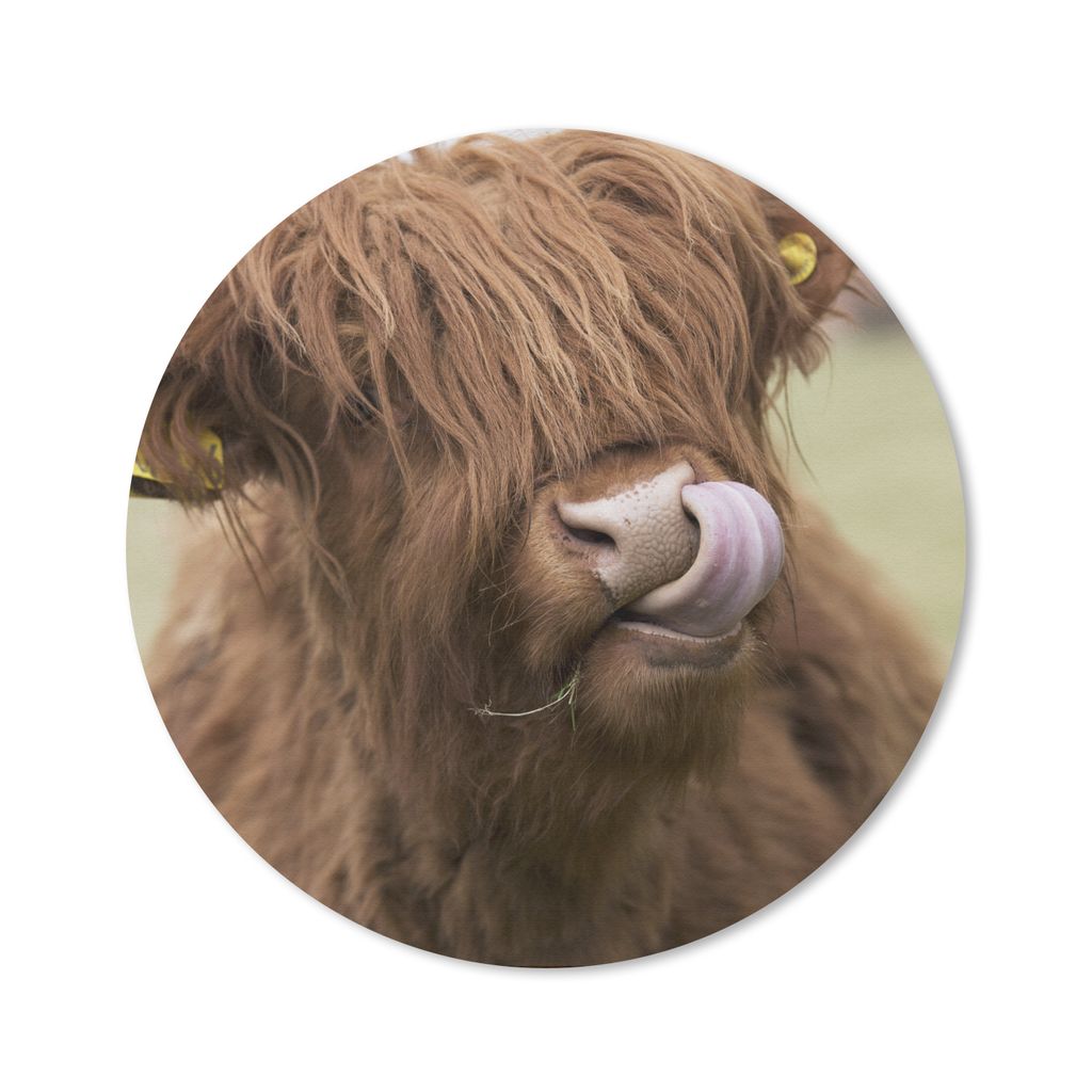 MuchoWow Mauspad Mousepad Schottischer Highlander - Braun - Tiere 50x50 cm - Mousepads - Maus Mat - Pad - Mausunterlage - Vinyl