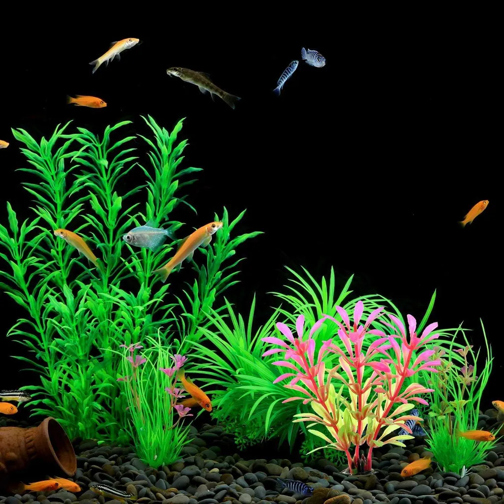 Aménagement Aquarium - Décoration et Cachettes pour Bocal Poisson