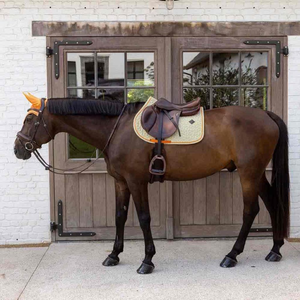 Kentucky Horsewear Samtstoff Schabracke Springen