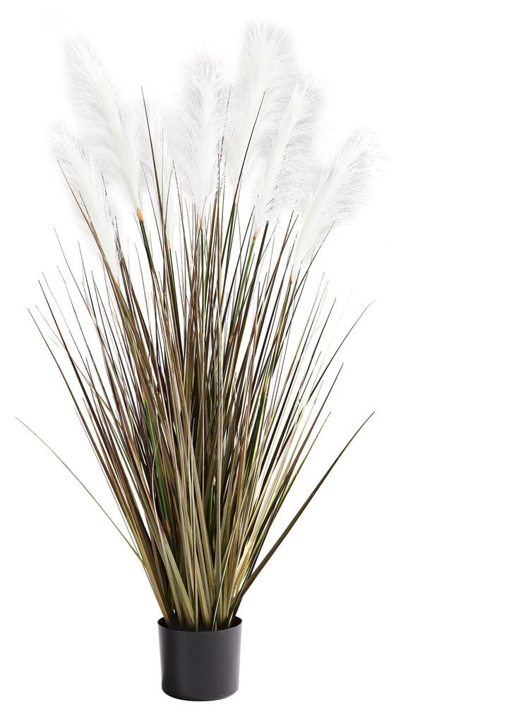 aplanta Künstliches Pampasgras – Eudora | 120 cm, für drinnen, Kunstpflanze, wie echt, Allergiker geeignet, pflanzliche Dekoration Praxis, Offi...