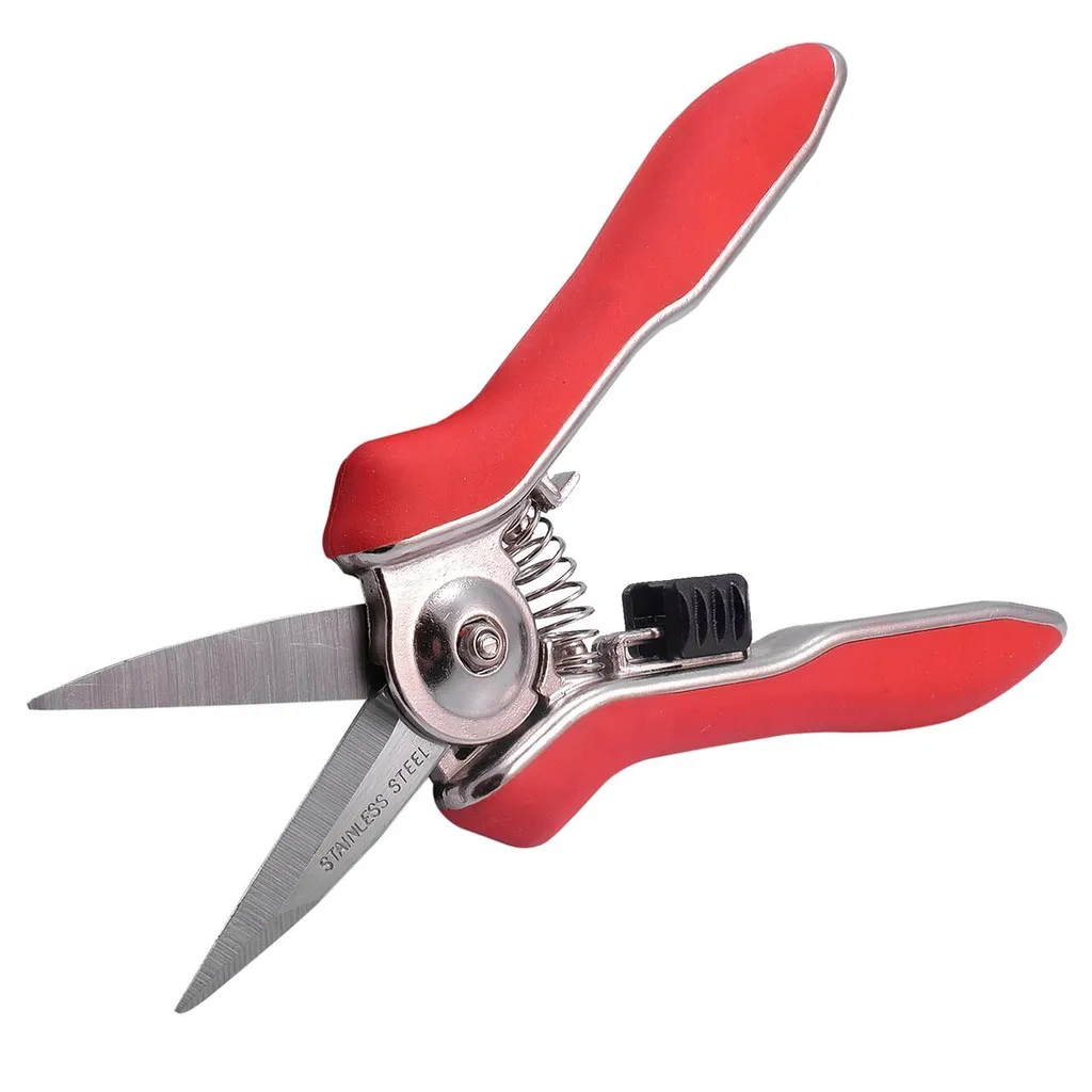 Ciseaux de jardin pour taille de bonsaï et fleurs - Précision de coupe